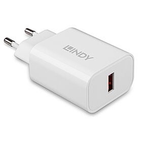 Lindy 73412 chargeur d'appareils mobiles Smartphone