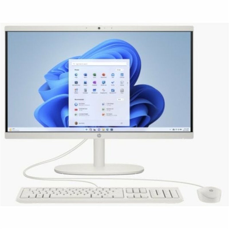 Tout en Un HP 22-dg0002ns 21,5