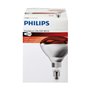 Philips 923212043801 ampoule infrarouge 250 W Bulbe