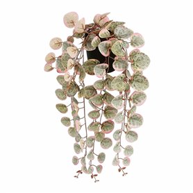 Plante décorative Mica Decorations Ceropegia Woodii 10 x 46 x 12 cm Artificielle A accrocher