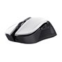 Souris Gaming Trust GXT Blanc Noir/Blanc 7200 dpi