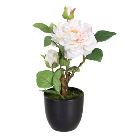 Plante décorative Polyester Polyéthylène Fer Rose 16 x 16 x 31 cm