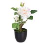 Plante décorative Polyester Polyéthylène Fer Rose 16 x 16 x 31 cm