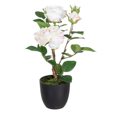 Plante décorative Polyester Polyéthylène Fer Rose 27 x 27 x 38 cm