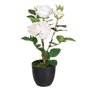 Plante décorative Polyester Polyéthylène Fer Rose 27 x 27 x 38 cm