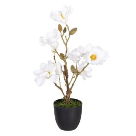 Plante décorative Polyester Polyéthylène Fer 25 x 25 x 49 cm Magnolia