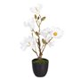 Plante décorative Polyester Polyéthylène Fer 25 x 25 x 49 cm Magnolia