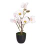 Plante décorative Polyester Polyéthylène Fer 25 x 25 x 49 cm Magnolia