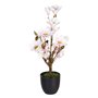 Plante décorative Polyester Polyéthylène Fer 30 x 30 x 60 cm Magnolia