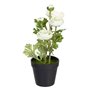 Plante décorative Polyester Polyéthylène Fer Fleur 12