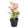 Plante décorative Polyester Polyéthylène Fer Fleur 12