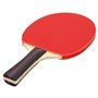 Raquette de ping-pong Aktive 12 Unités