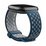 Montre intelligente Fitbit Bleu