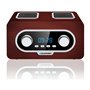 Radio Blaupunkt PP5.2BR Marron Bronze