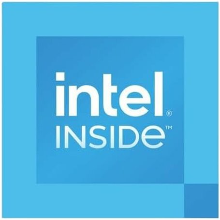 Intel 300 processeur 6 Mo Smart Cache Boîte