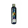 Shampooing et après-shampooing Certech 16885 250 ml