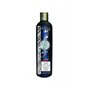 Shampooing et après-shampooing Certech 16878 250 ml