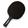 Raquette de ping-pong Donic CarboTec 3000