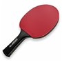 Raquette de ping-pong Donic CarboTec 3000