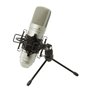 Microphone Tascam TM-80 Or