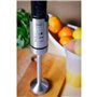 Mixeur plongeant Eldom BL220 Argenté 1000 W