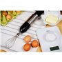 Mixeur plongeant Eldom BL220 Argenté 1000 W