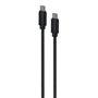 Câble USB-C GEMBIRD CCDB-mUSB2B-CMCM-6 Noir 1