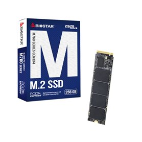Disque dur Biostar M760 256 GB SSD
