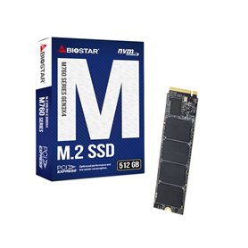 Disque dur Biostar M760 512 GB SSD