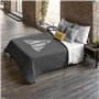 Housse de Couette Harry Potter 240 x 220 cm Gran lit 2 persones