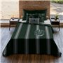 Housse de Couette Harry Potter Slytherin 240 x 220 cm Gran lit 2 persones