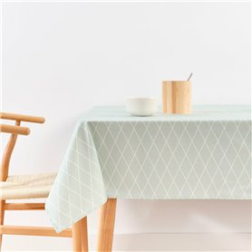 Nappe antitache Belum 0220-55 180 x 300 cm