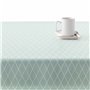 Nappe antitache Belum 0220-55 250 x 140 cm