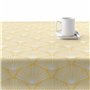 Nappe antitache Belum 0120-213 250 x 140 cm