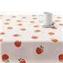 Nappe antitache Belum 220-45 100 x 140 cm