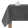 Nappe antitache Belum Gris foncé 100 x 180 cm