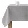 Nappe antitache Belum Gris 100 x 250 cm