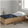 Jeu de draps Harry Potter HPotter Gold Multicouleur 175 Fils Lit 90 cm