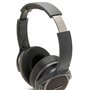 Oreillette Bluetooth Aiwa HST-250BT/TN Gris