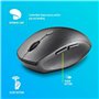 Souris NGS BEEBLACK Noir