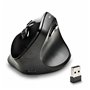 Souris sans-fil NGS EVOMOKSHA Noir