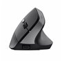 Souris Trust TM-270 Noir