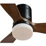 Ventilateur de Plafond avec Lumière Grunkel SKYWIND-52WN Noir