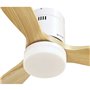 Ventilateur de Plafond avec Lumière Grunkel SKYWIND-52WB