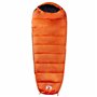 vidaXL Sac de couchage momie pour adultes camping 3 saisons