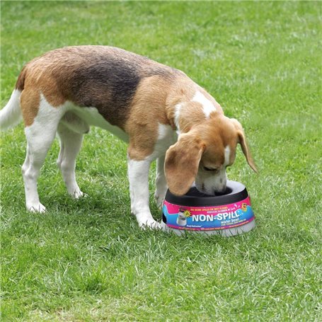 Road Refresher Bol à eau pour animaux de compagnie L Gris LGRR