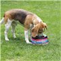 Road Refresher Bol à eau pour animaux de compagnie L Gris LGRR