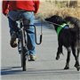 SPRINGER Kit d'exercice de vélo pour chiens