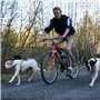 SPRINGER Kit d'exercice de vélo pour chiens