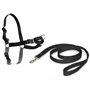 PetSafe Harnais pour chiens Easy Walk S Noir